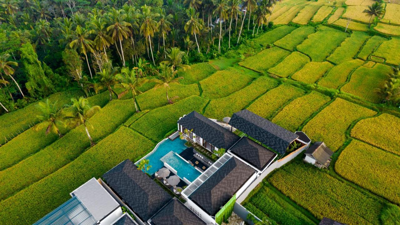 Villa Mia By Balisuperhost Ubud Extérieur photo